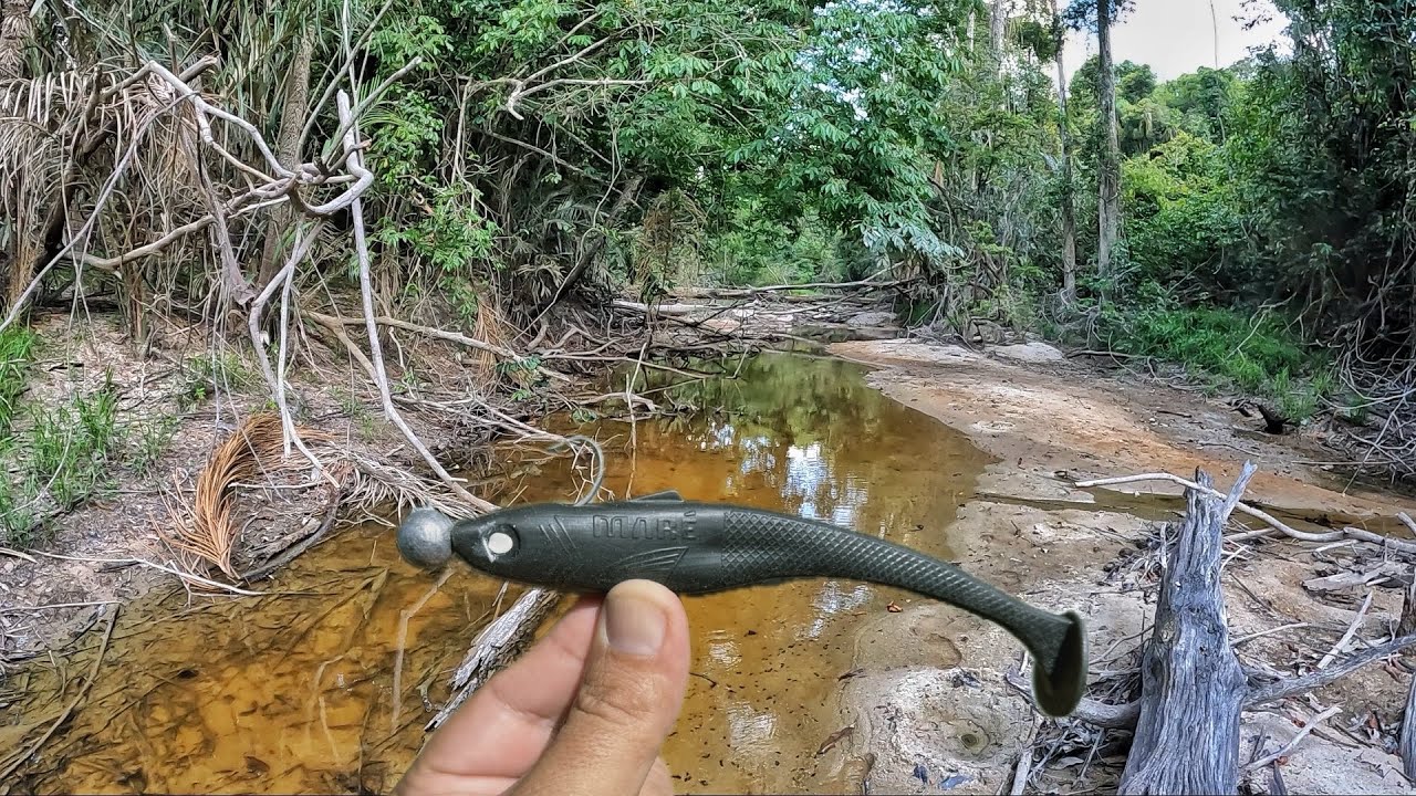 ENCONTREI O NINHO DAS BOCUDAS GIGANTES. A ISCA que chama as MONSTRAS