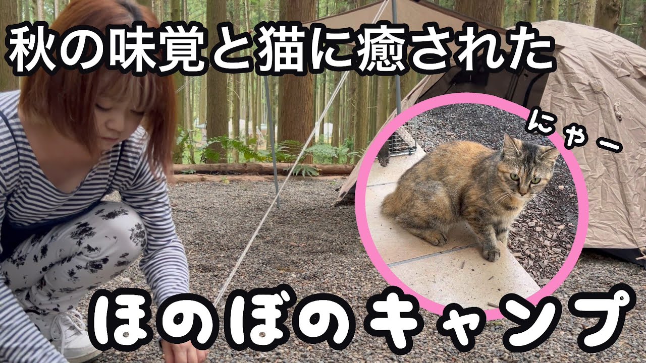 【女子ソロキャンプ】過去一ウマいキャンプ飯と猫に癒された秋キャンプ