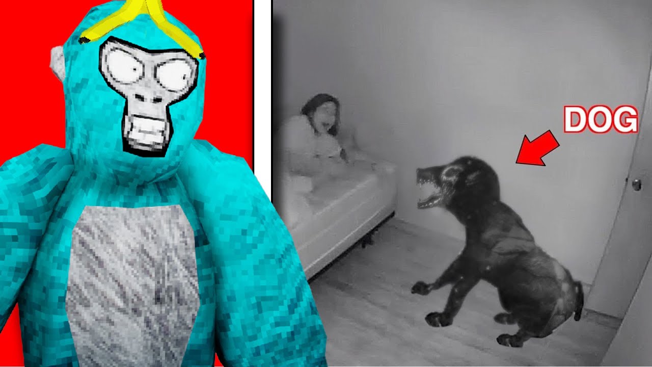 That's NOT her dog...