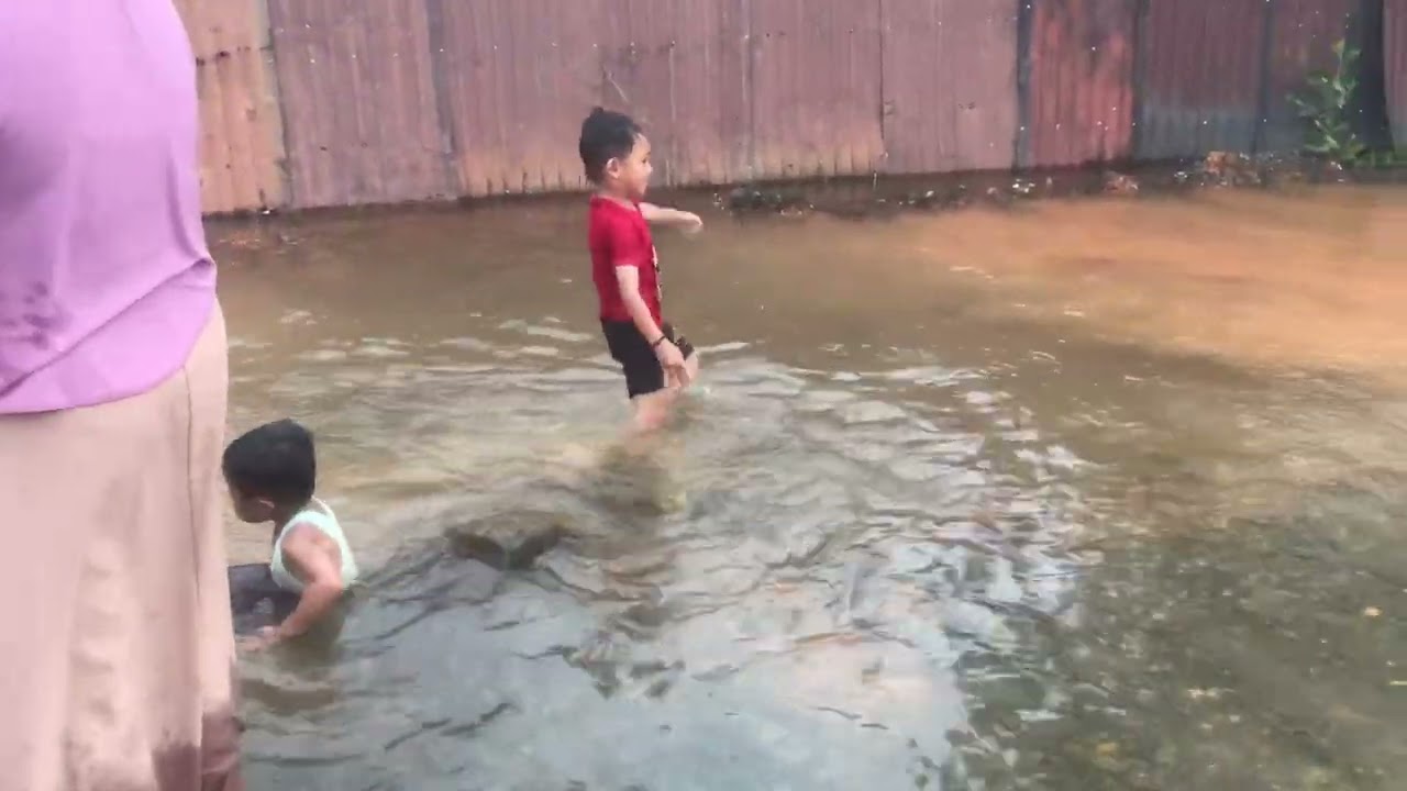 Berkubang di air pasang