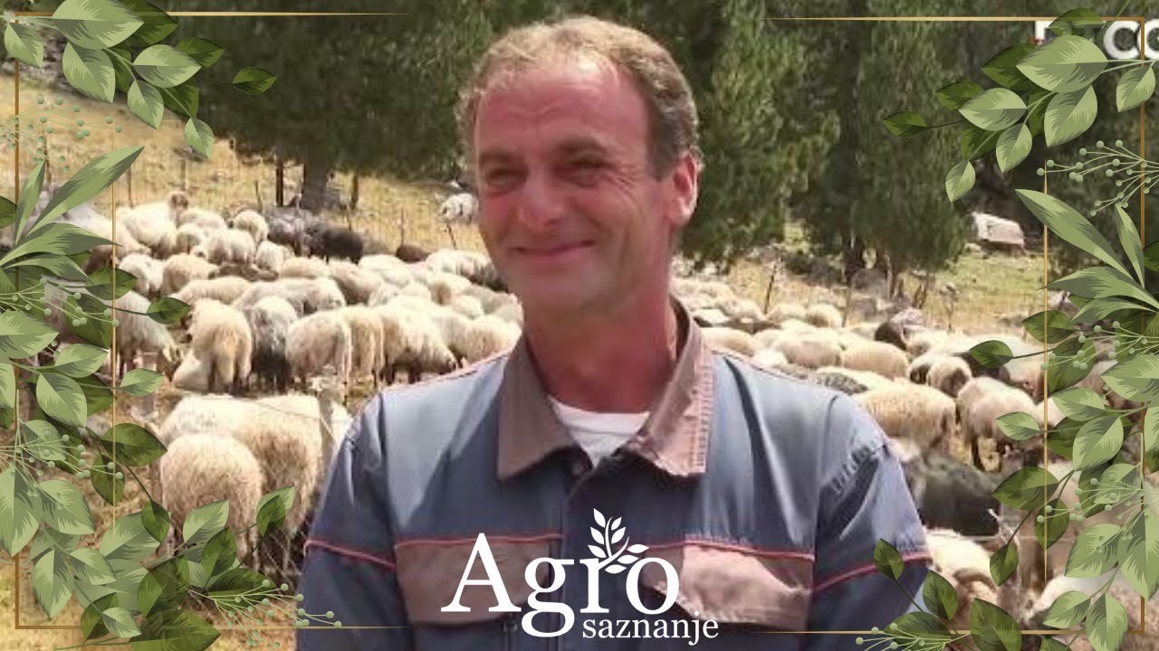 Maganik, žetva i pčelarstvo Kekića - AGROSAZNANJE