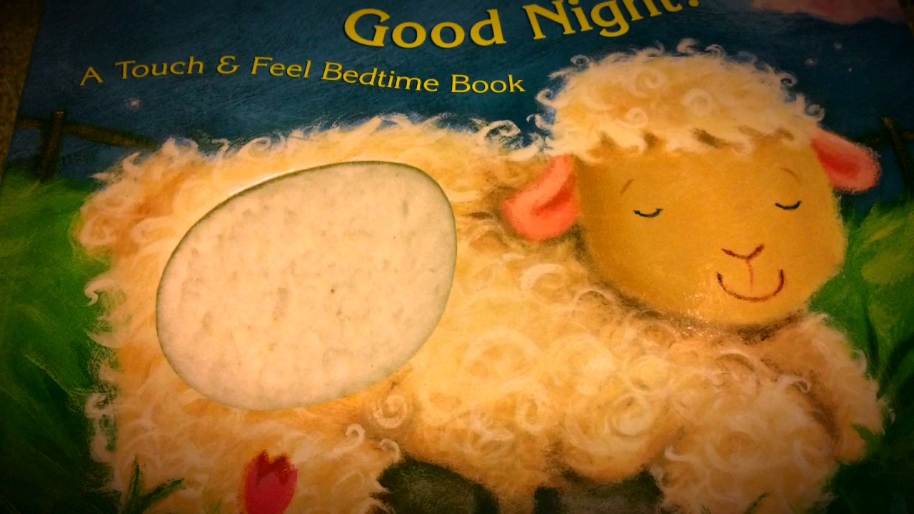 Good Morning Good Night - touch and feel bedtime book