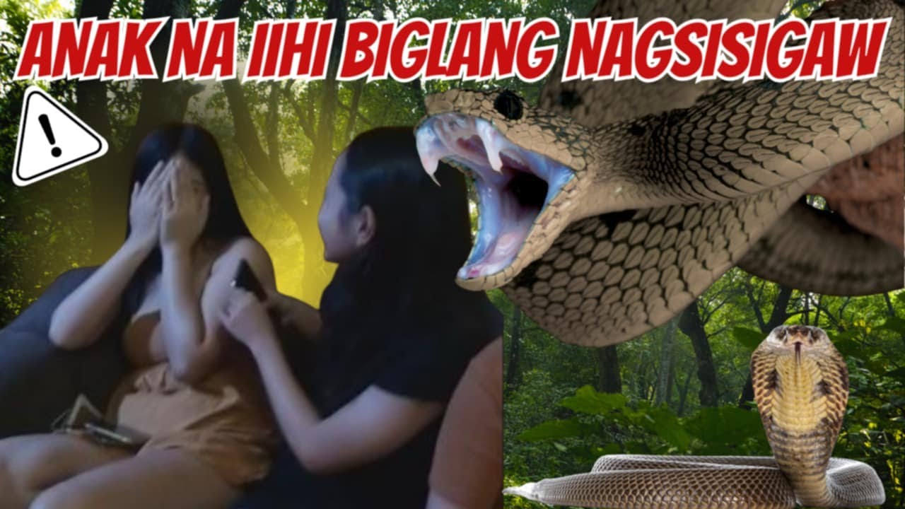 HINDI PINATULOG NG APAT NA ARAW SINA MAM GANDA DAHIL SA DAMBUHALANG AHAS #cobraprince #cobraking