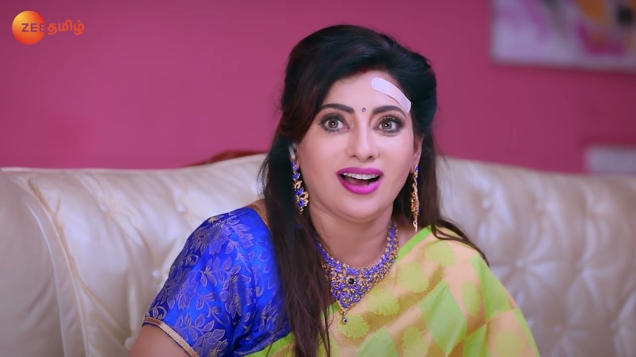 Raghav Gets Suspicious - Sembaruthi - Full Ep 1371 - Zee Tamil