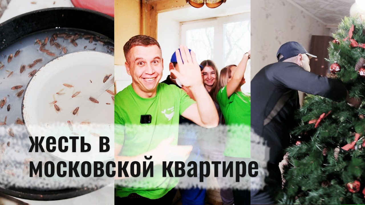 Полчища насекомых, и причем тут кит