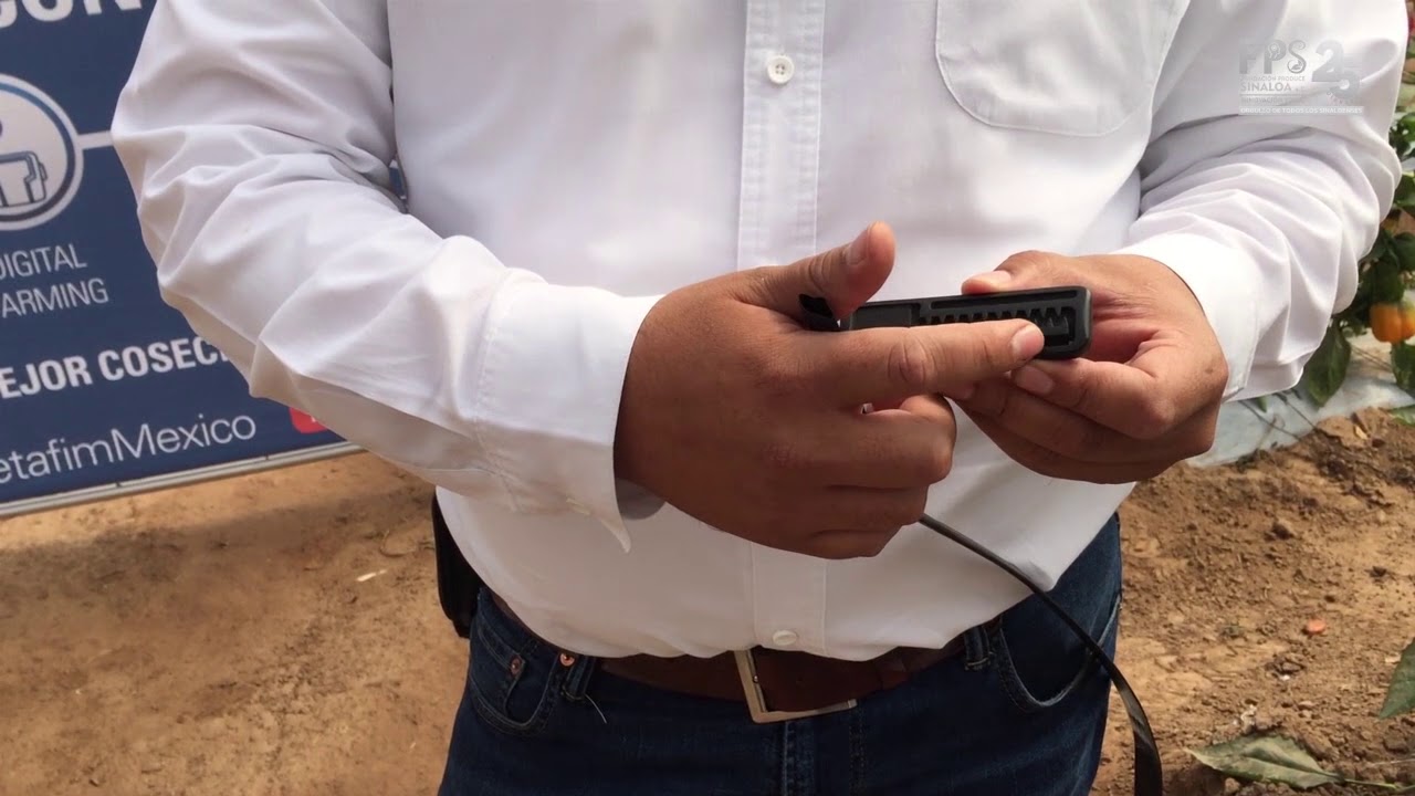 Netafim: Sistema de riego por goteo