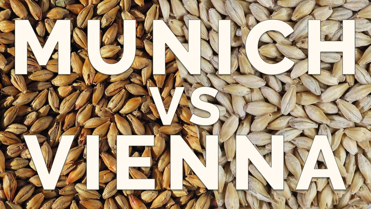 Malto MUNICH vs VIENNA | Homebrewing Tips