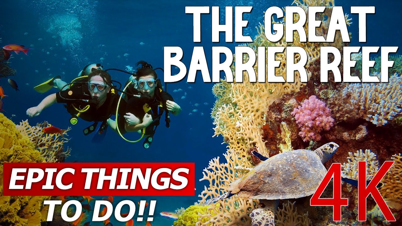 Great Barrier Reef TRAVEL GUIDE: TOP 20 things to do in Australia 4k