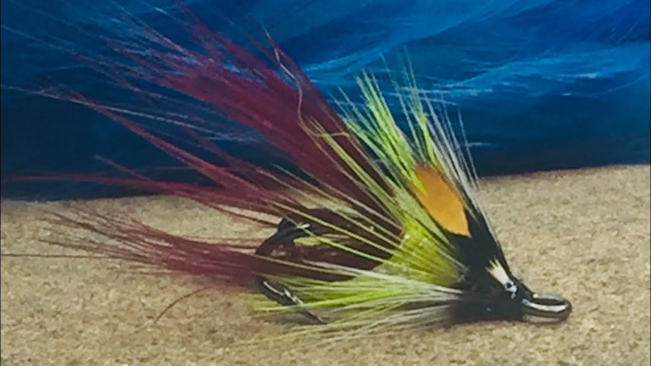 Tying an Irish shrimp fly, Lemon Shrimp