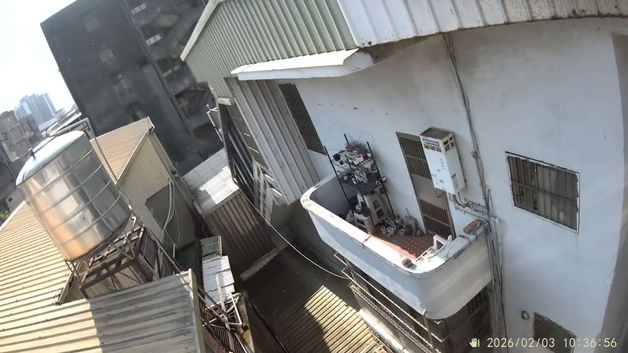 桃園春英11