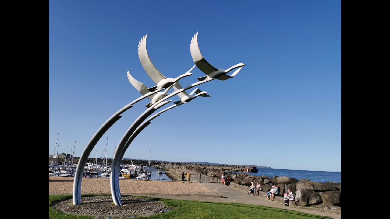 Our Wee Country