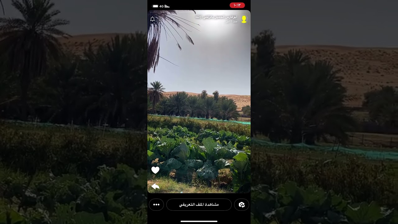 معنى الشوبنق