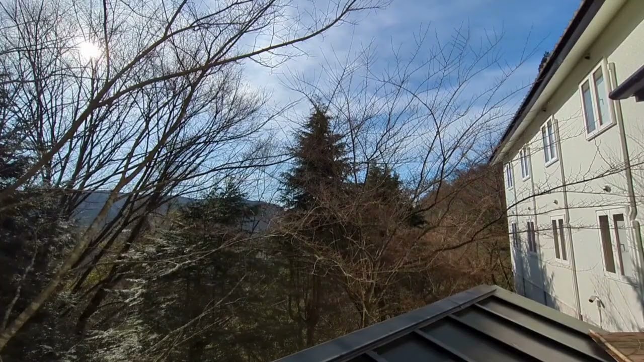 箱根　旅館　蔵樹　箱根神社の神域通勤中に聞くだけで一日が、幸せに満ちる冬晴れの蔵樹、裏側から眺める静かな木立と空 BGM 亜麻色の髪の乙女　ドビュッシー