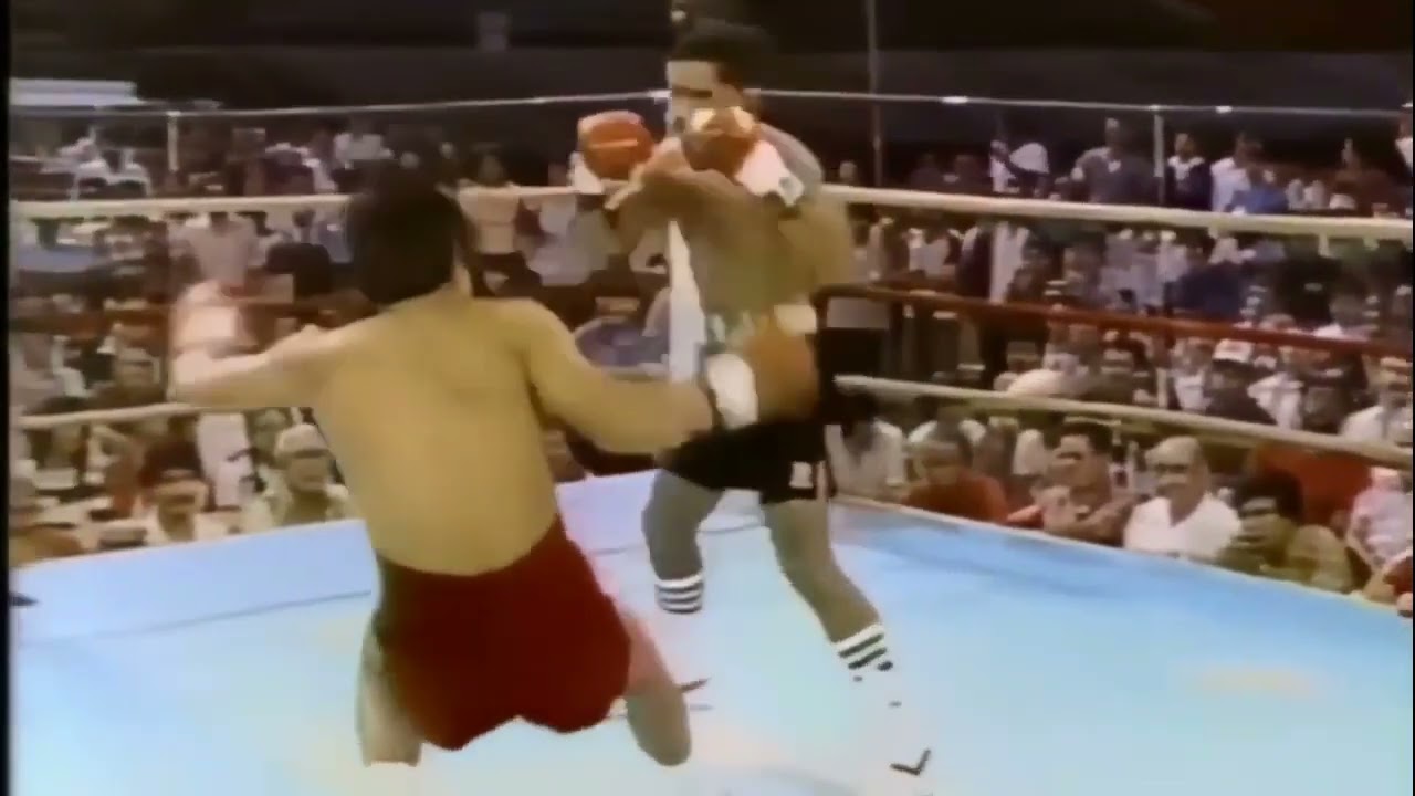 Edwin Rosario Knockouts HD