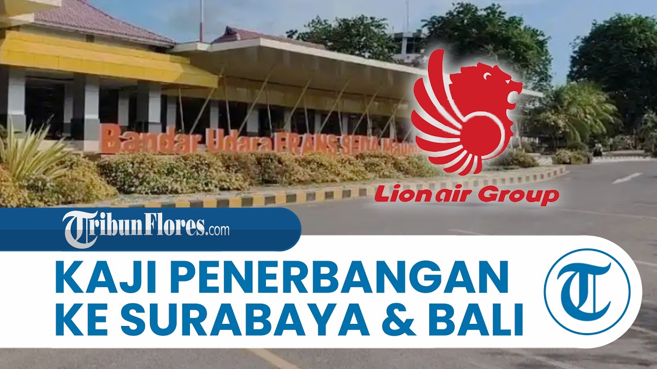 Setelah Buka Rute Maumere - Makassar, Lion Group Kaji Penerbangan ke Surabaya dan Bali