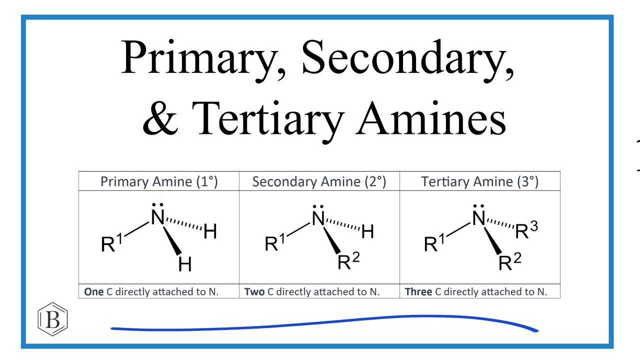 Primary, Secondary, and Tertiary Amines || Structure, Examples & Identification