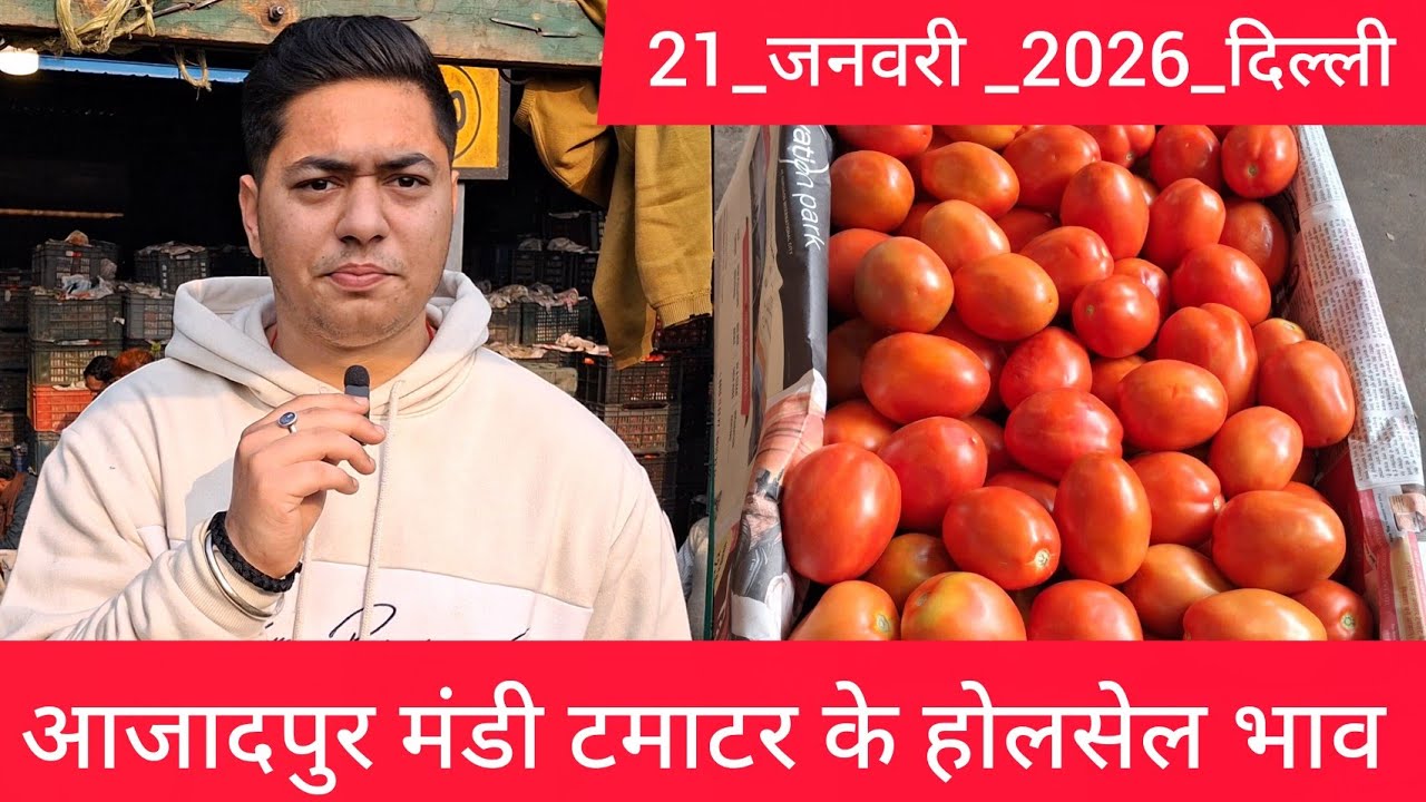 January 21, 2026 दिल्ली 🍅टमाटर के भाव azadpur Delhi mandi today #tomatomarket #delhitomatomarket