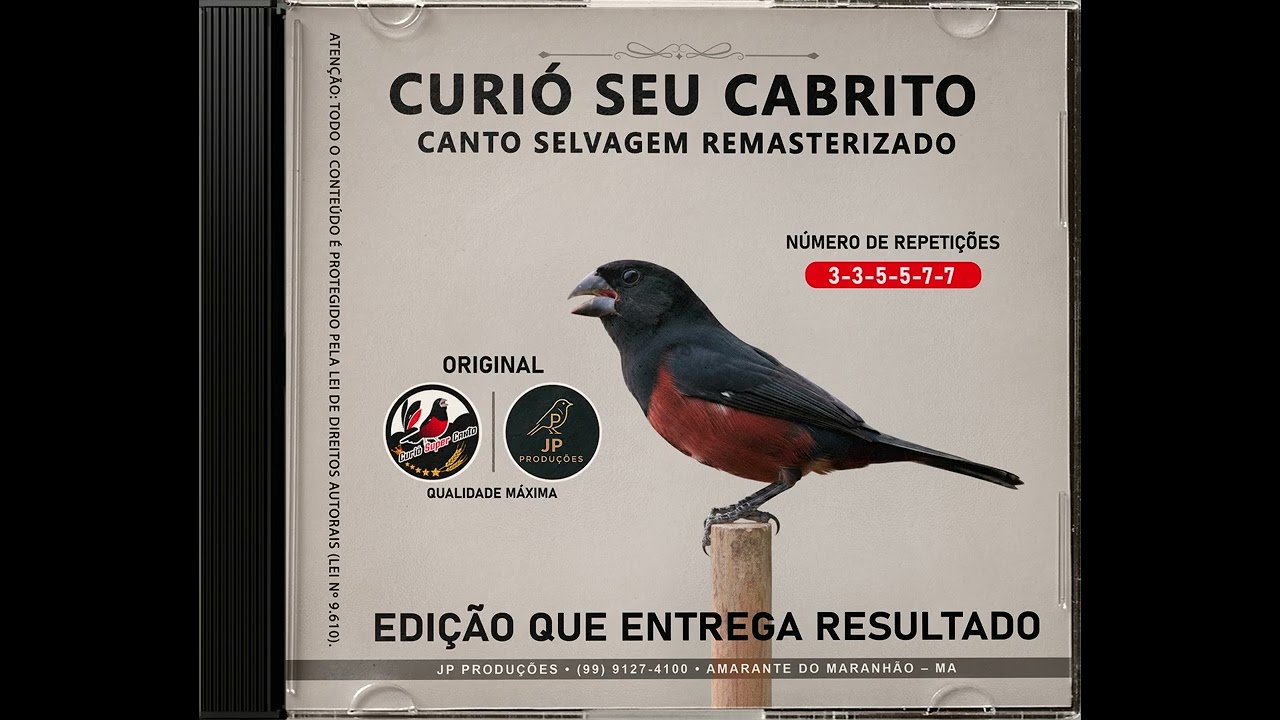 CURIÓ SEU CABRITO CANTO SELVAGEM CD