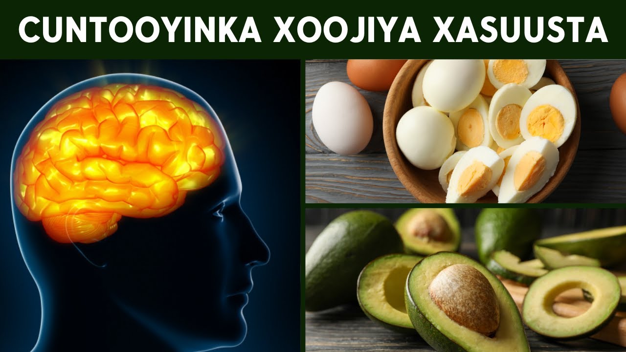 Cuntooyinka U Fiican Maskaxda Ee Kobciyo Xasuusta