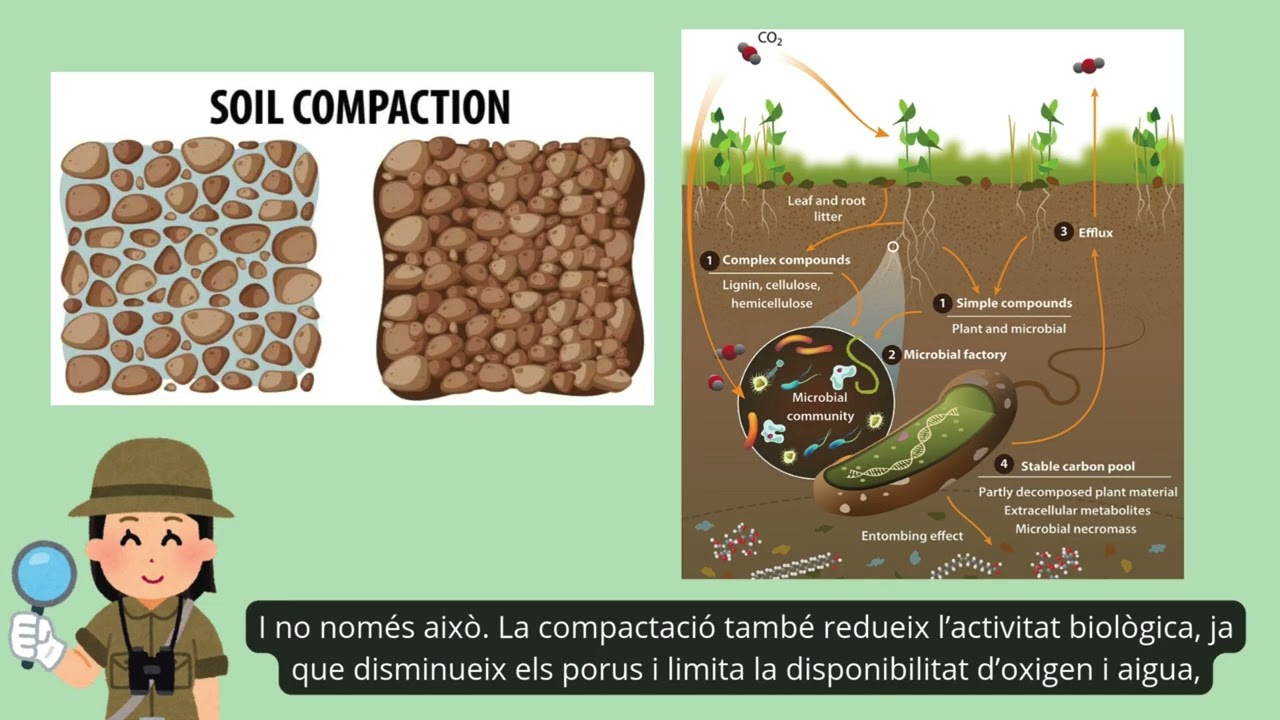 Compactación del Suelo en la Fageda d'en Jordà