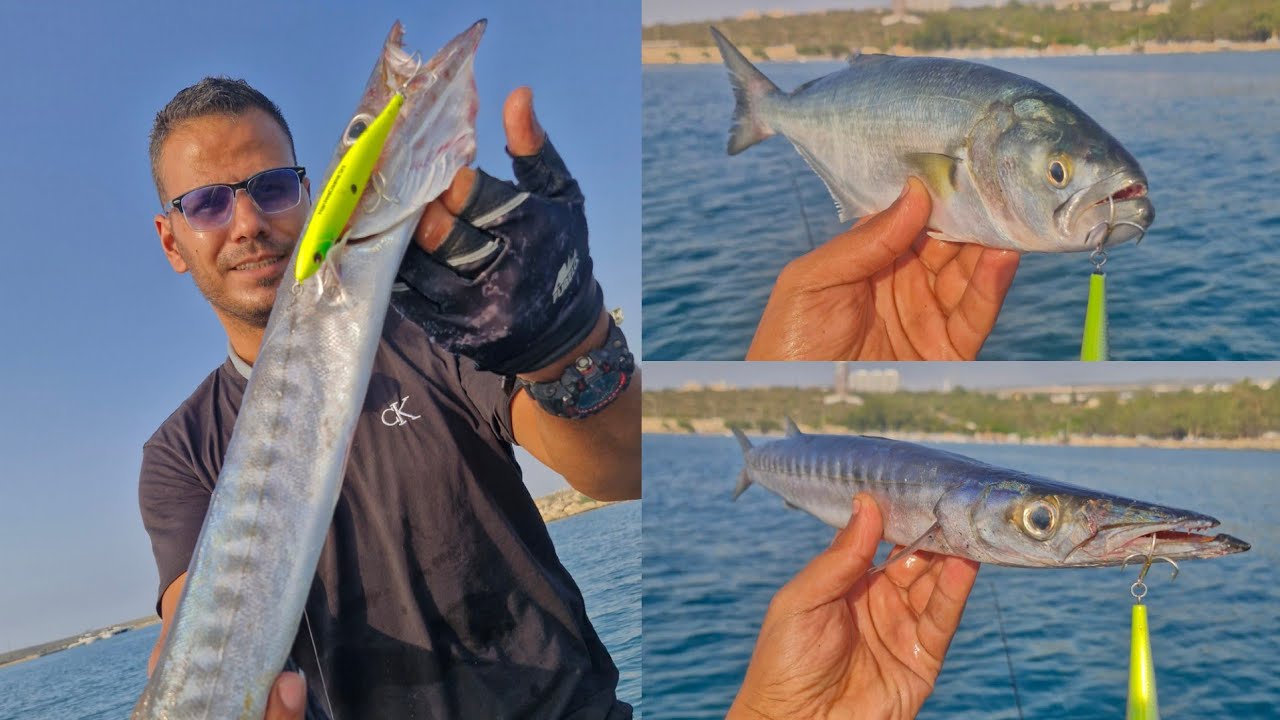 En Kolay Lüfer ve Baracuda Av Tekniği! Bot ile sırtı avı 