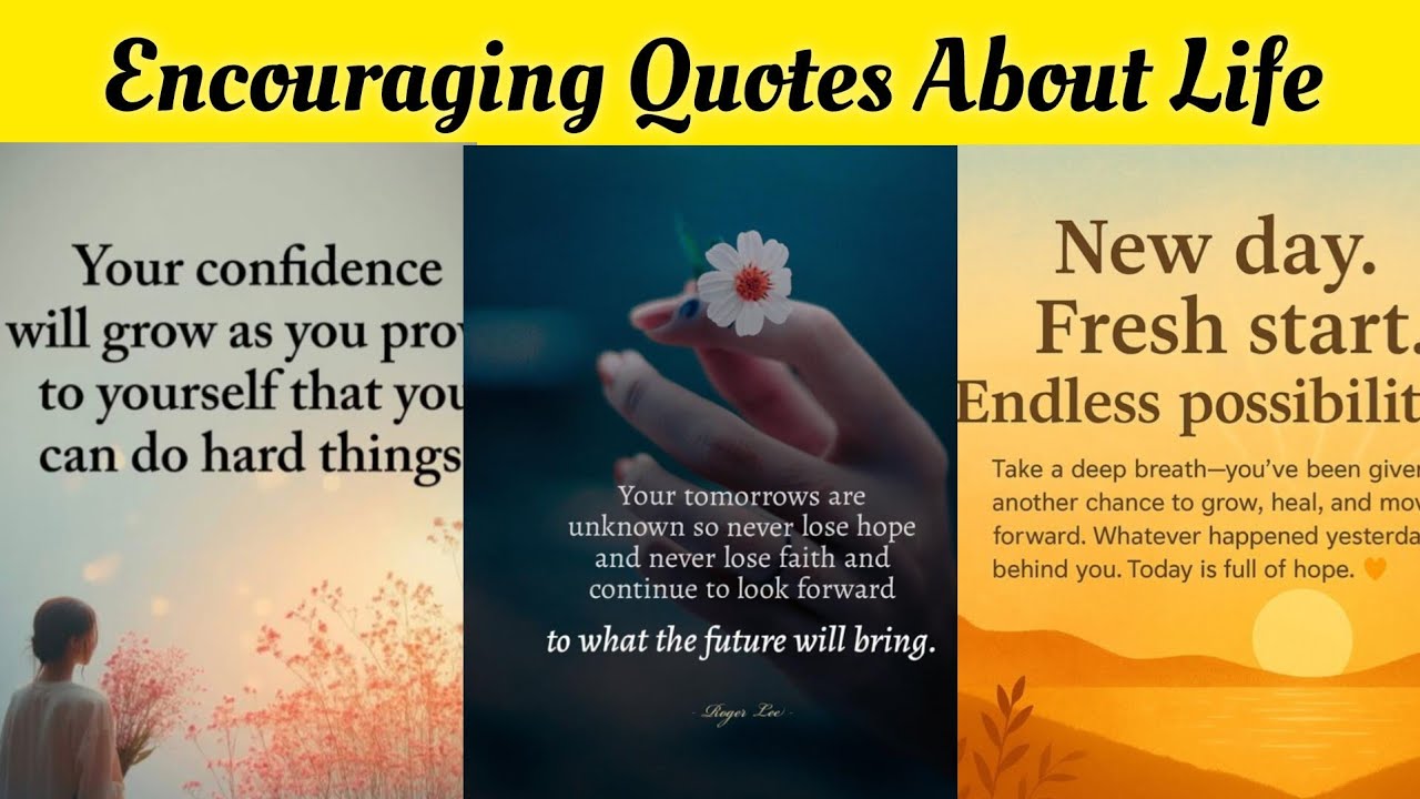 Daily Encouraging Quotes For A Positive Mind | Motivational Quotes | Daily Motivational Quotes