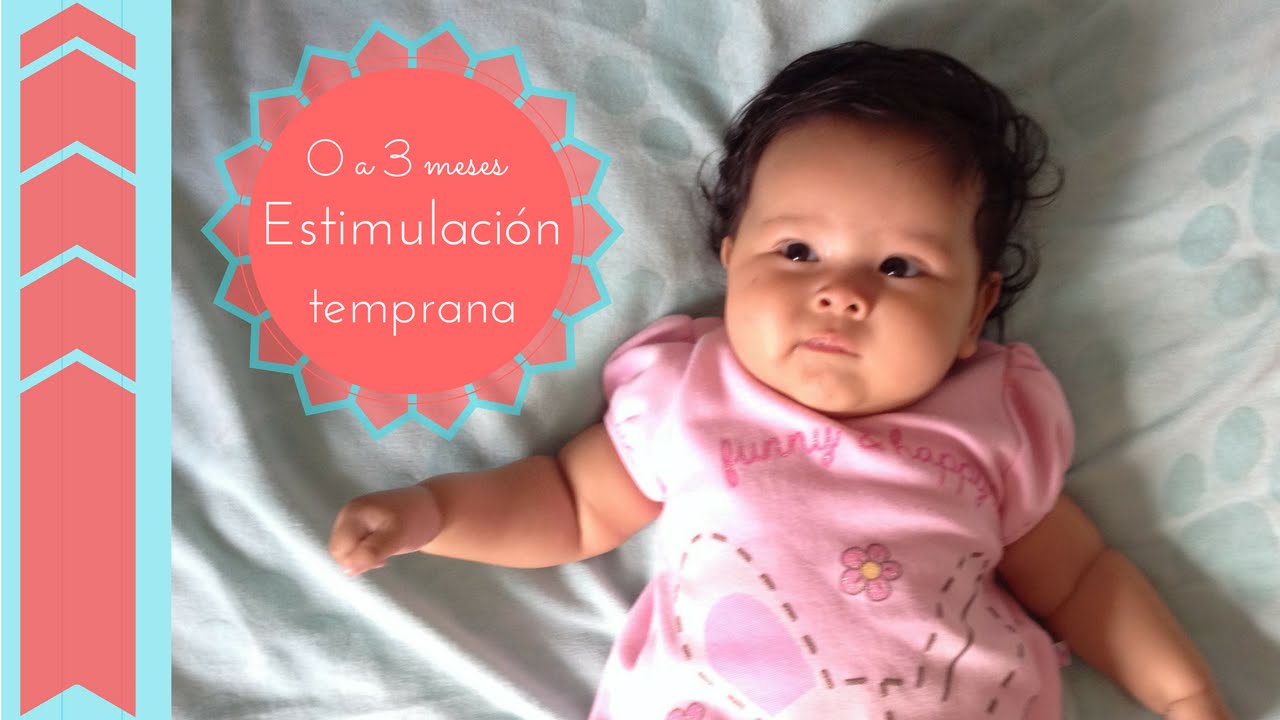 Estimulación Temprana 0 a 3 meses