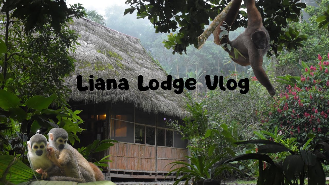 #2 Liana Lodge Vlog 