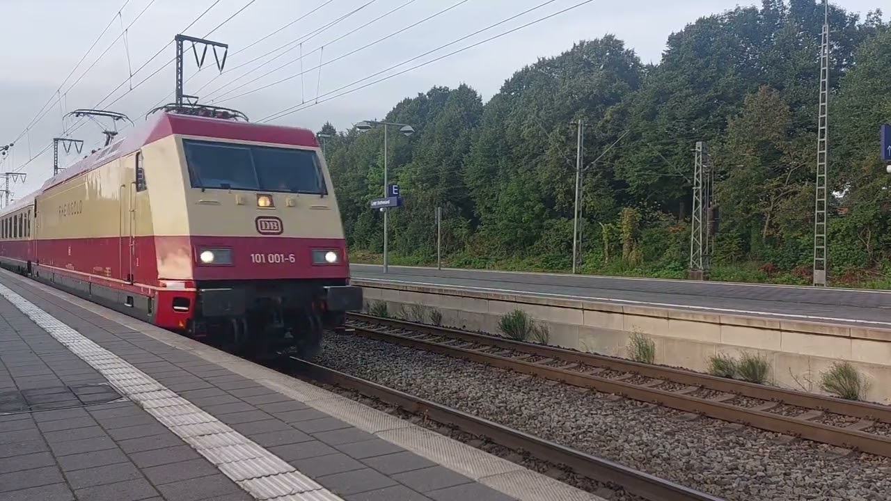 [UNIEK] Rheingold Express 101 001-6 met Inselexpress Norderney richting Keulen in Leer [19-8-2023]
