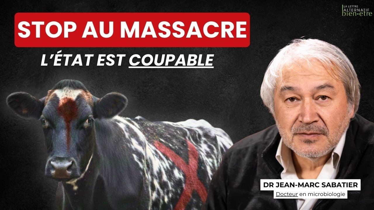 Abattage massif de bovins en Ari&egrave;ge : Jean-Marc Sabatier brise le silence