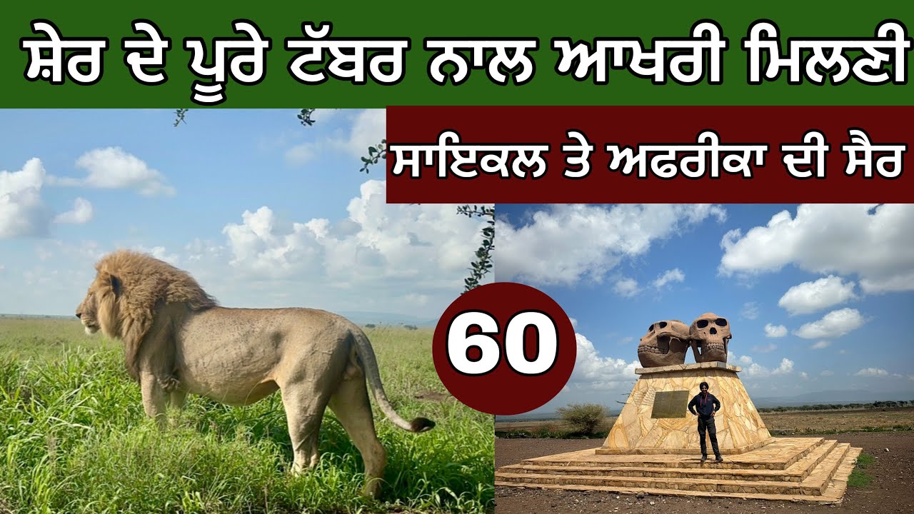 ਸ਼ੇਰ, ਸ਼ੇਰਨੀ ਤੇ ਬੱਚੇ । Lion Family in Tanzania । Cycling through AFRICA । Ghudda vlogs