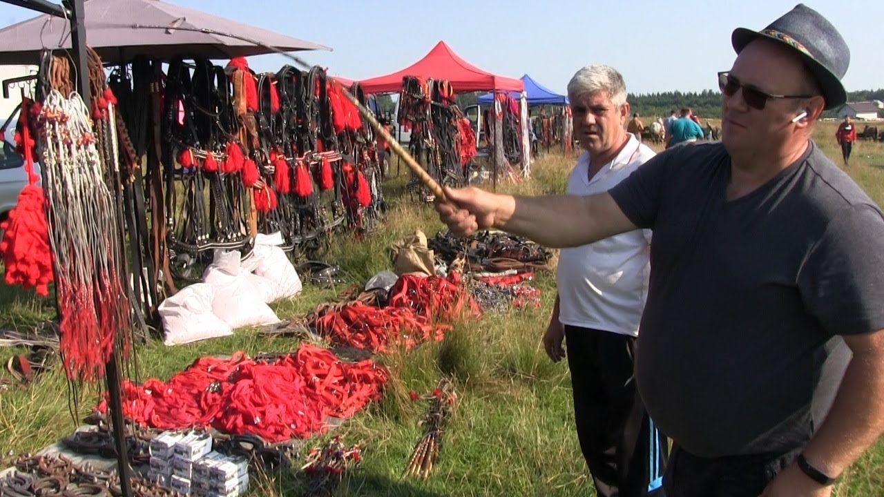 Hamuri pentru cai Potcoave cu vidia forjate || Hamuri cai Gogu