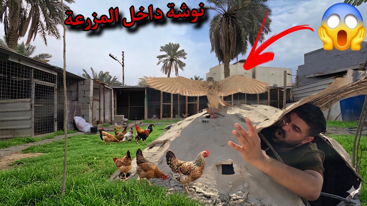 لن تصدق ماذا فعلت داخل مزرعتي! 🦉 راح تنصدم