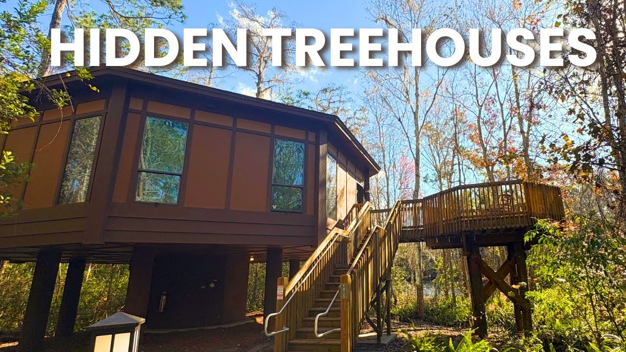 Saratoga Springs Treehouses to Disney Springs 🌴 | Scenic Walk 4K (Walk With Me)