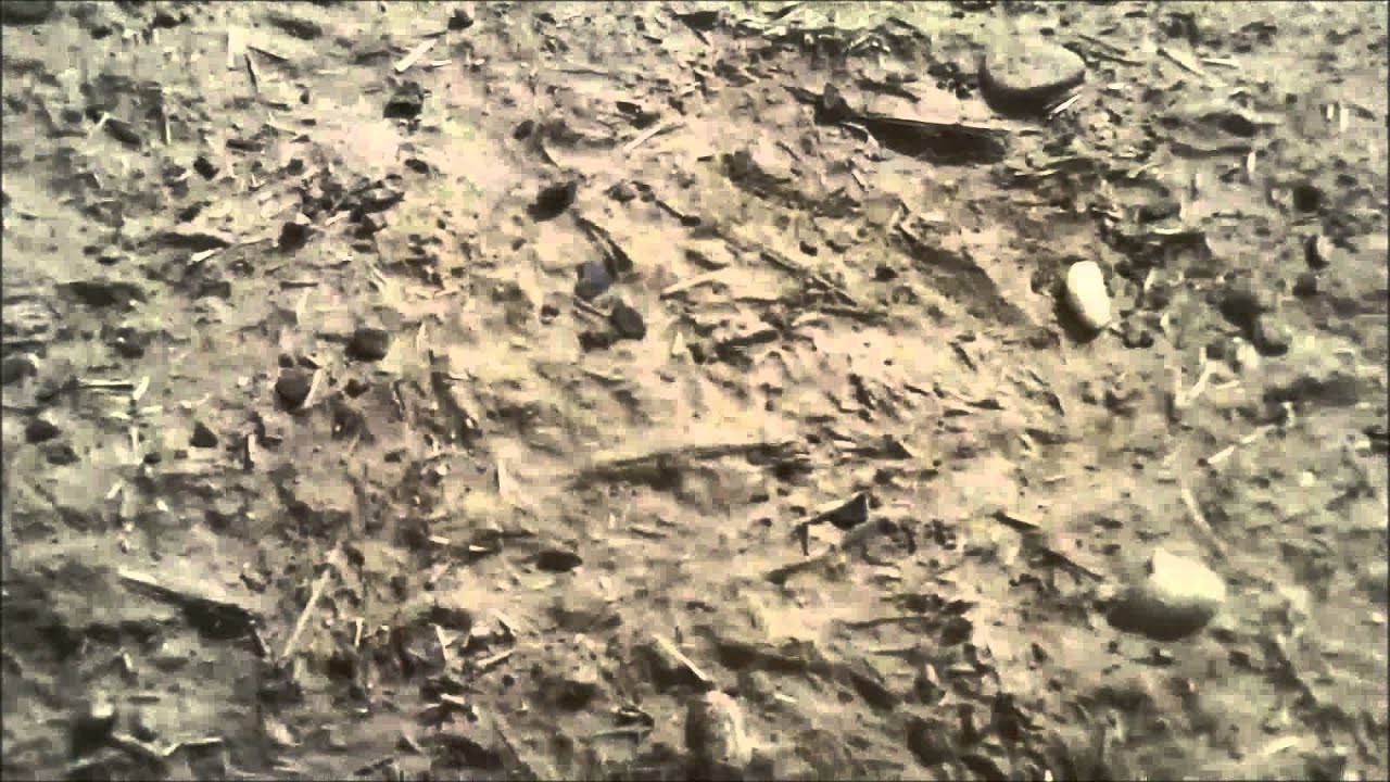 2-34AR 1st ID scout PLT 2011 Afghanistan Deployment Maywand/Zhari Districts