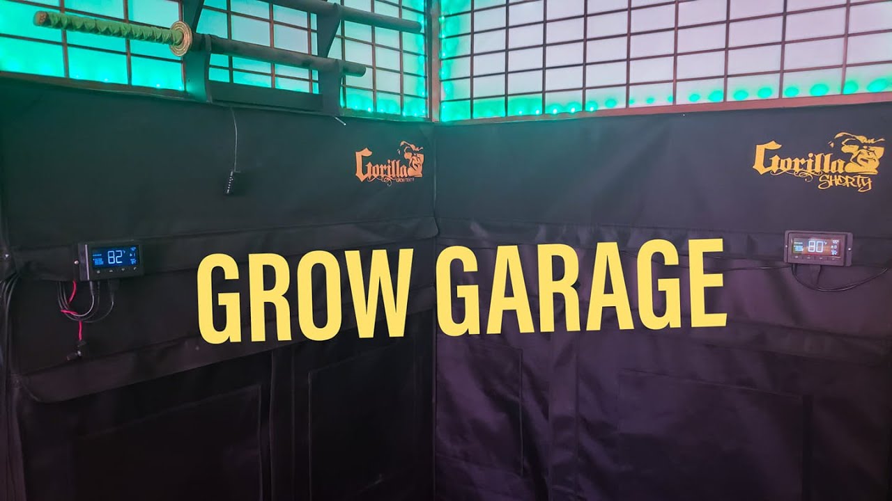 GORILLA GROW GARAGE - BEST GROW TENTS YOU CAN BUY!