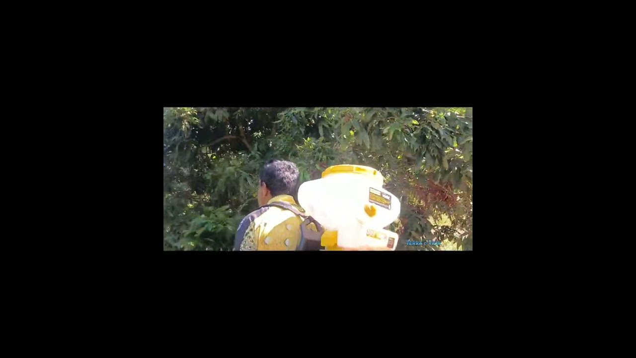 TESTE COM ATOMIZADOR E SOPRADOR COSTAL, PARA PULVERIZAR OS POMAR.