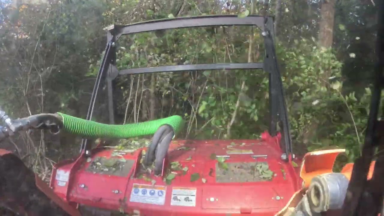 Clearing Property Edge after New Survey, La Grange, Kentucky