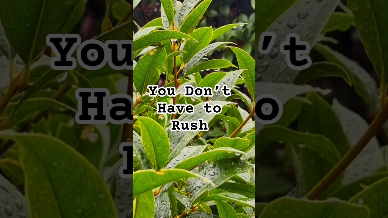Healing is not a race&hellip; slow down | #SoulReturn #SlowHealing #MentalHealth #SpiritualGrowth #Breath