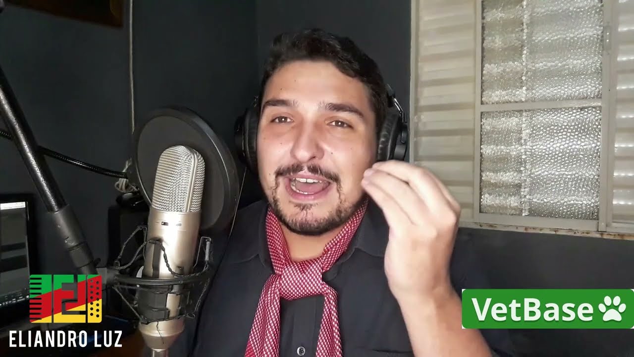 Gaiteiro Por Demais | Eliandro Luz | (Porca V&eacute;ia)