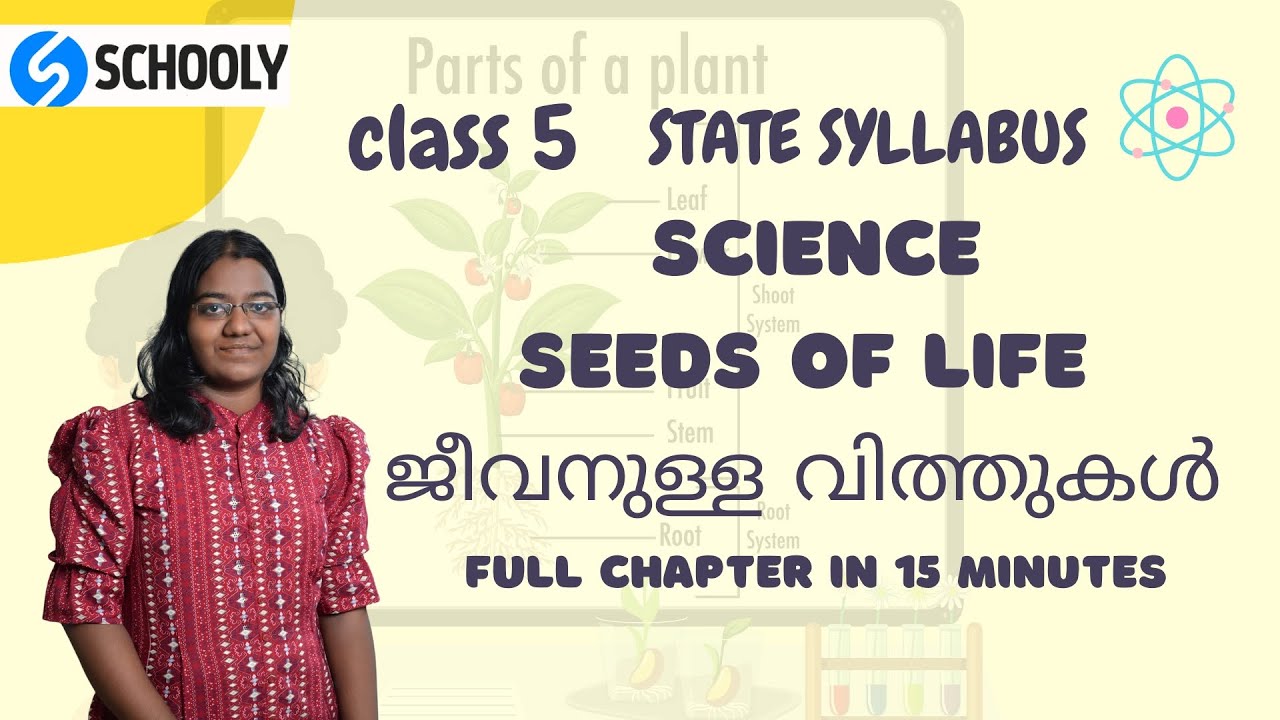 State class 5 - Science Seeds of life ജീവനുള്ള വിത്തുകൾ |Full chapter in 15 minutes