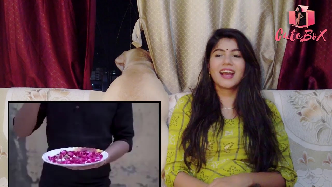 THE VIRUS - TIKTOK VS YOUTUBE | ROUND TO HELL | Reaction | CuteBox | Pooja Rathi