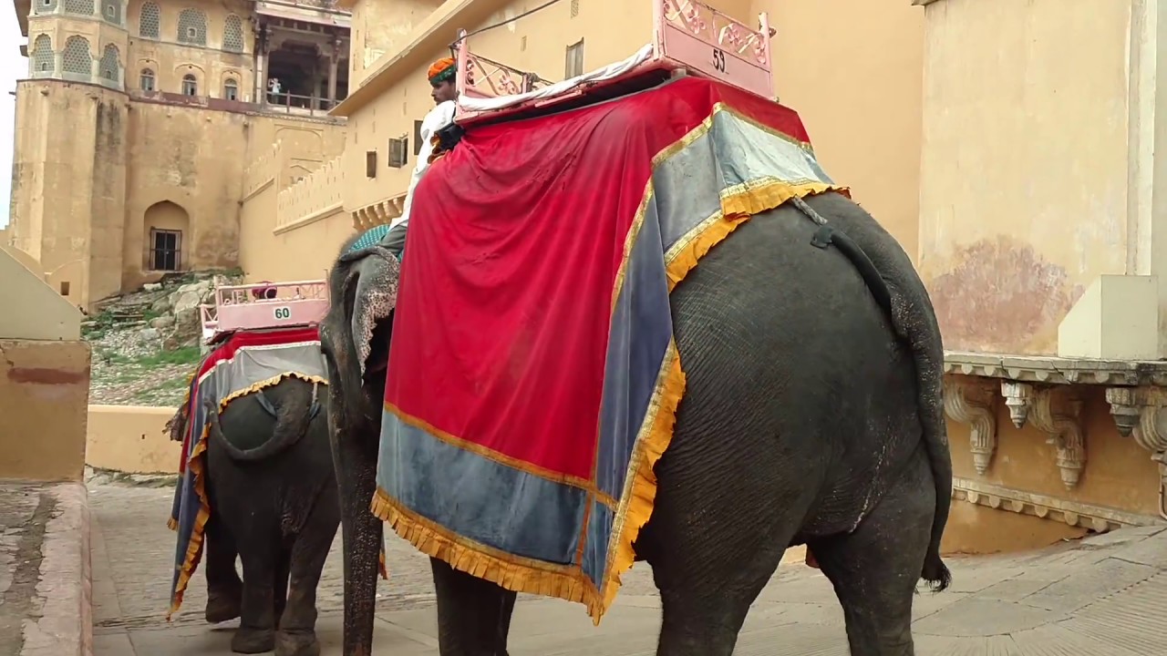 Elephant Ride at Amber (Amer) Fort, Jaipur, India