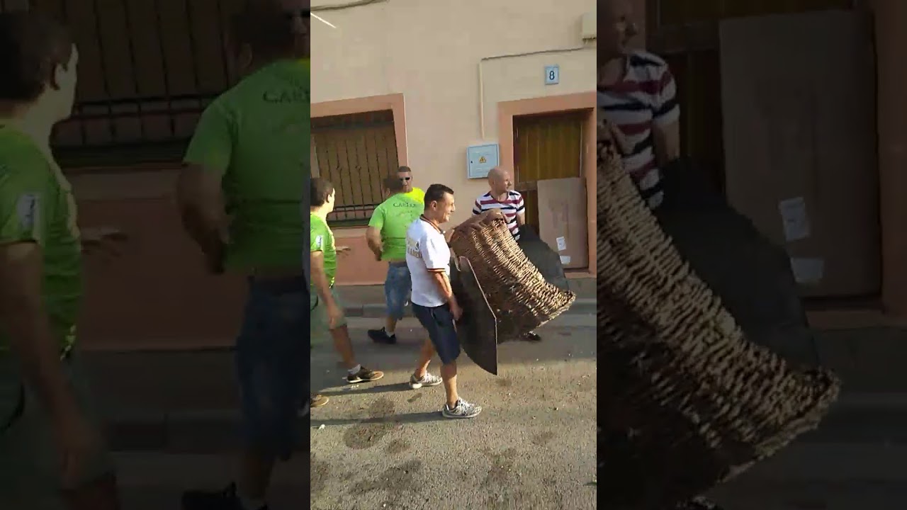 Vaquillas 2017 santa Isabel roscaderos