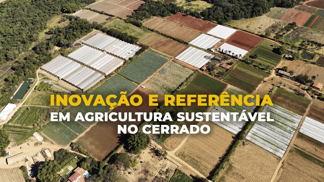 INOVAÇÃO E REFERÊNCIA EM AGRICULTURA SUSTENTÁVEL NO CERRADO