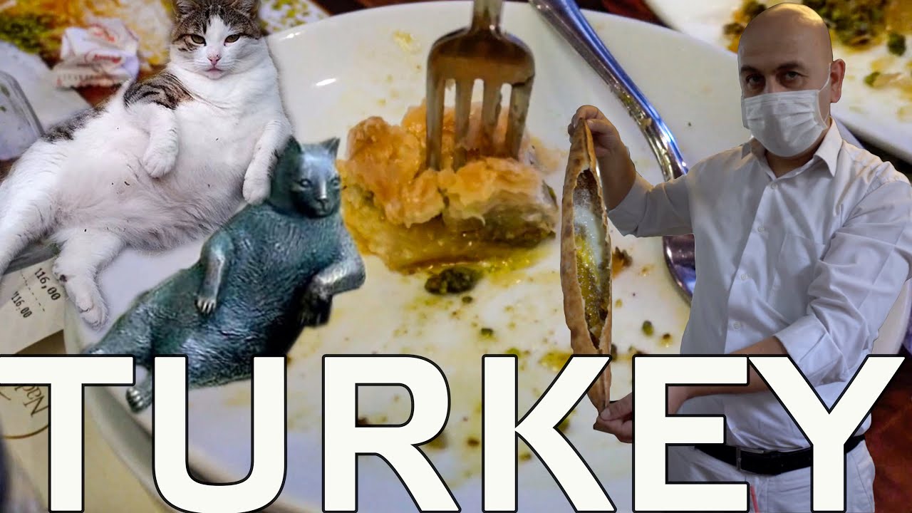 Turkey Travel: Famous Cats | Famous Baklava | Fabulous Pizza