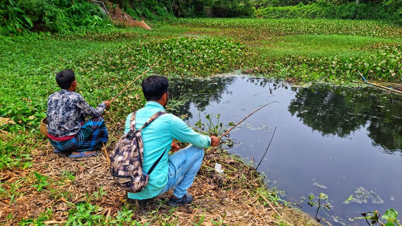 কচুরিপানার ডোবায় মাথানষ্ট মাছ ধরলাম | I caught a fish that was lost in the pond | Fishing BD Fast Tv