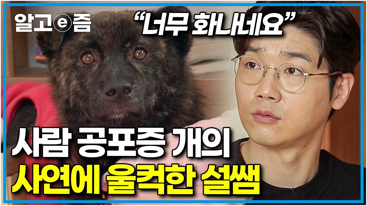 “이 정도면 사람 안 무서워하는 게 이상한 거죠” 사람만 보면 패닉 되는 개의 끔찍한 과거에 울컥한 설쌤과 눈물 흘리는 보호자│세상에 나쁜 개는 없다│알고e즘