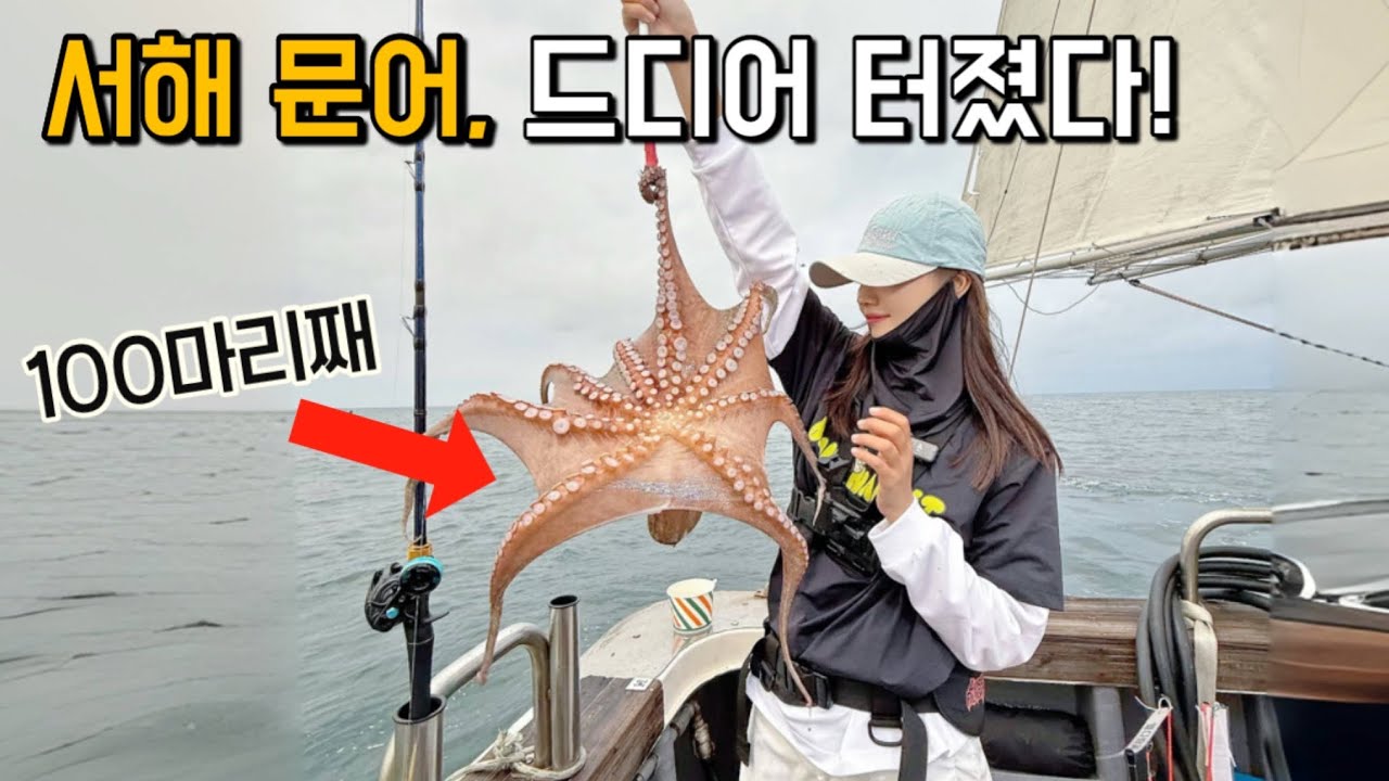 속보 🚨서해 문어낚시, 킬로급이 미친 듯이 쏟아져요! 서두르세요!