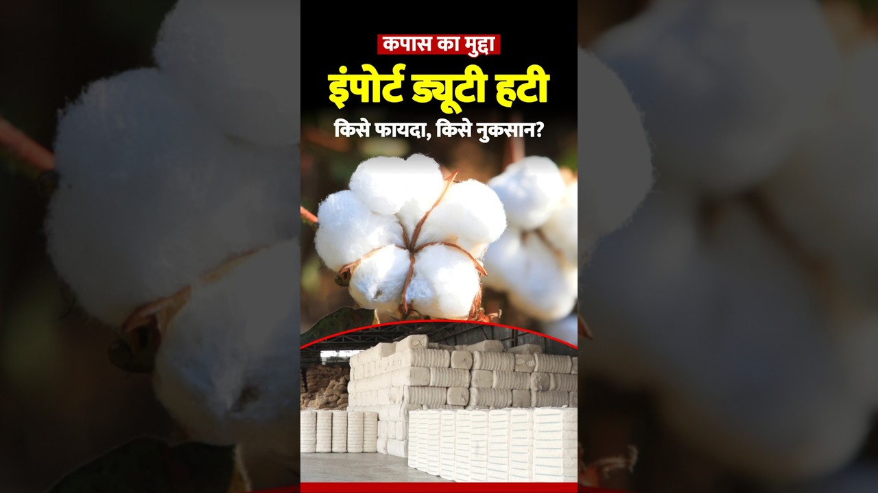 Government Removed Import duty on Cotton, What will be the impact on farmers? #importduty
